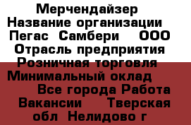 Мерчендайзер › Название организации ­ "Пегас" Самбери-3, ООО › Отрасль предприятия ­ Розничная торговля › Минимальный оклад ­ 23 500 - Все города Работа » Вакансии   . Тверская обл.,Нелидово г.